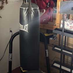 Heavy Bag And Speed Bag 
