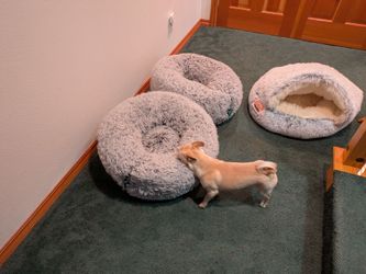3 dog beds for small dogs