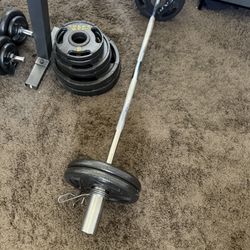 Curved Bar - Curl Barbell With 40 LB Weights 