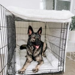 NIB https://offerup.com/redirect/?o=UGF3LmNvbQ== waterproof crate kit for ( 41L×28W ) dogs Fur Charcoal grey color