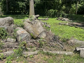 Firewood / Tree Trunks For Sale