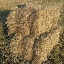 Square Bales 