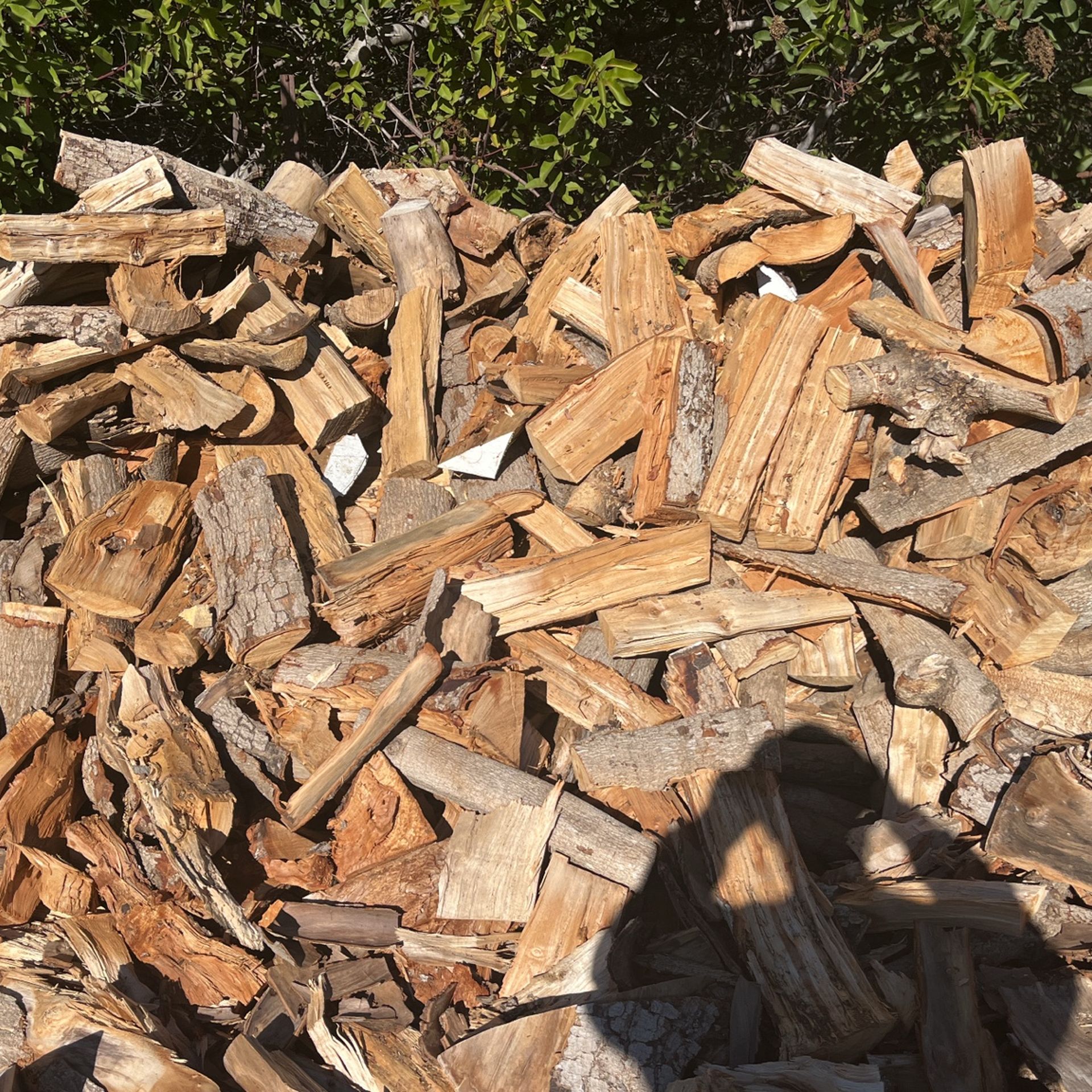 Firewood 