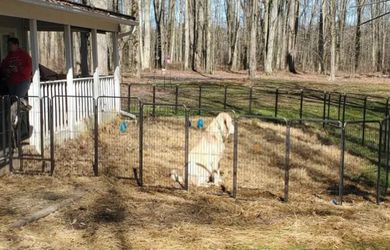 Brand new 16 pieces of 24 inch dog fence