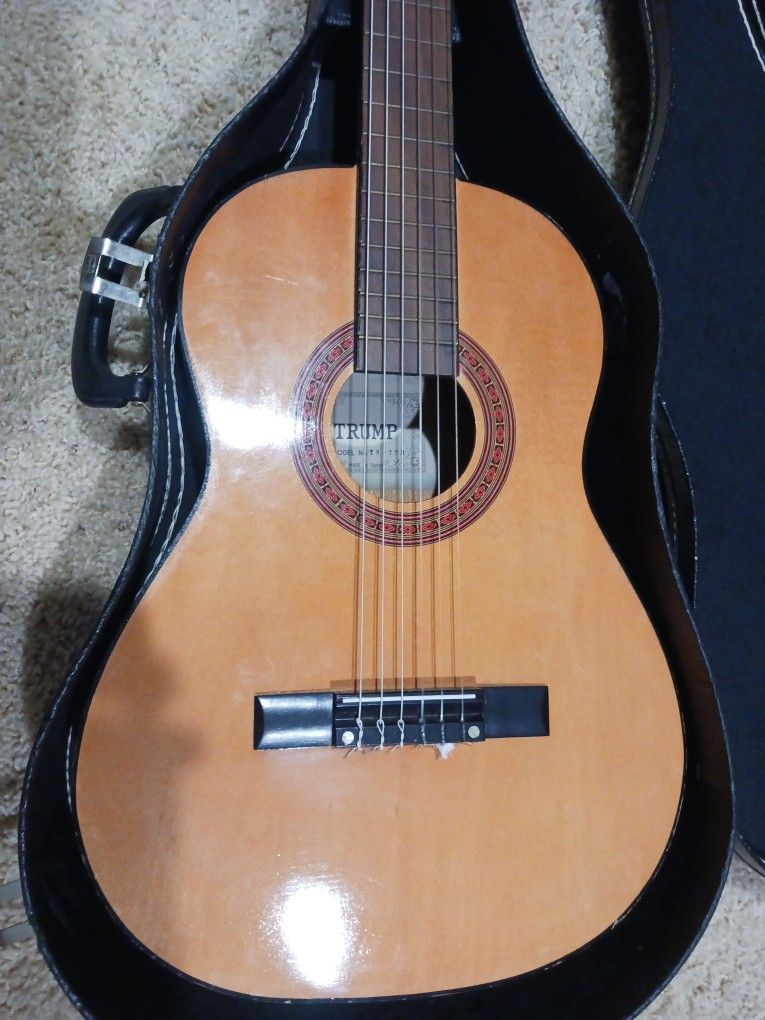 Trump Acoustic Guitar