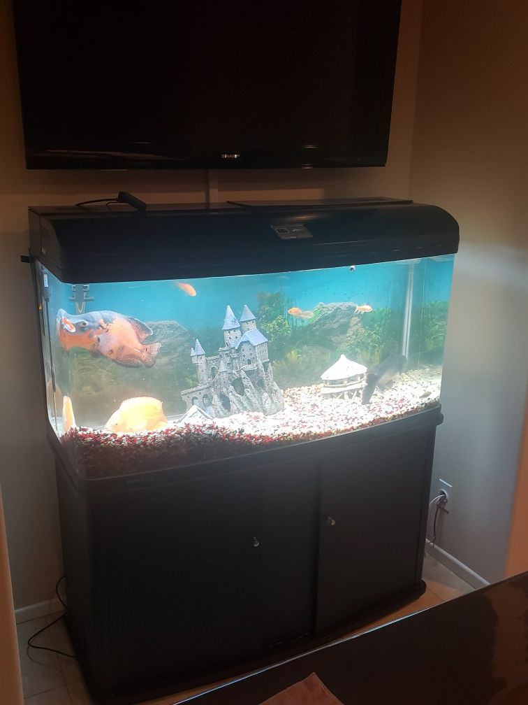 Jebo R3126 90 gallon fish tank with stand