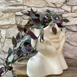 🎁 House Plant Fuzzy Baby Bunny Bellies Tradescantia In  6"H Head Planter Pot.