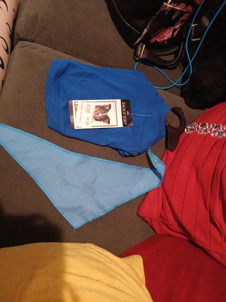 Doggy Shirt In Scarf