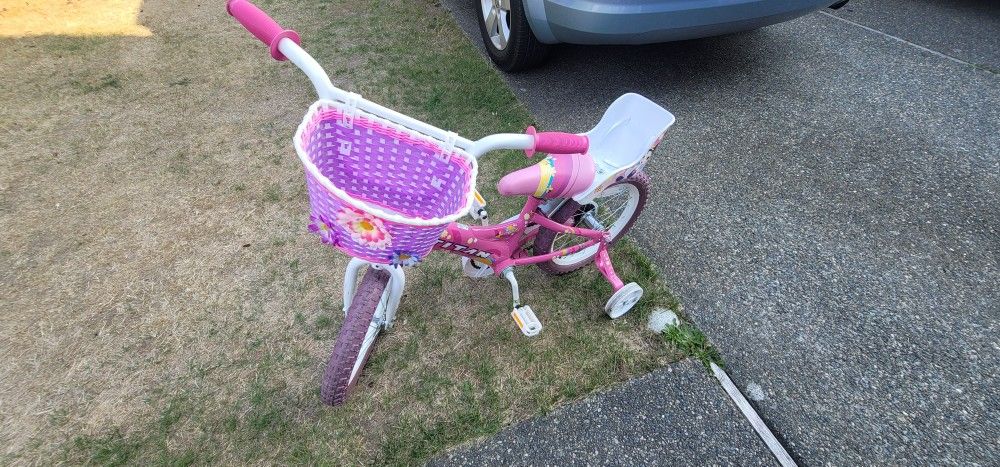 Girls Titan Bike
