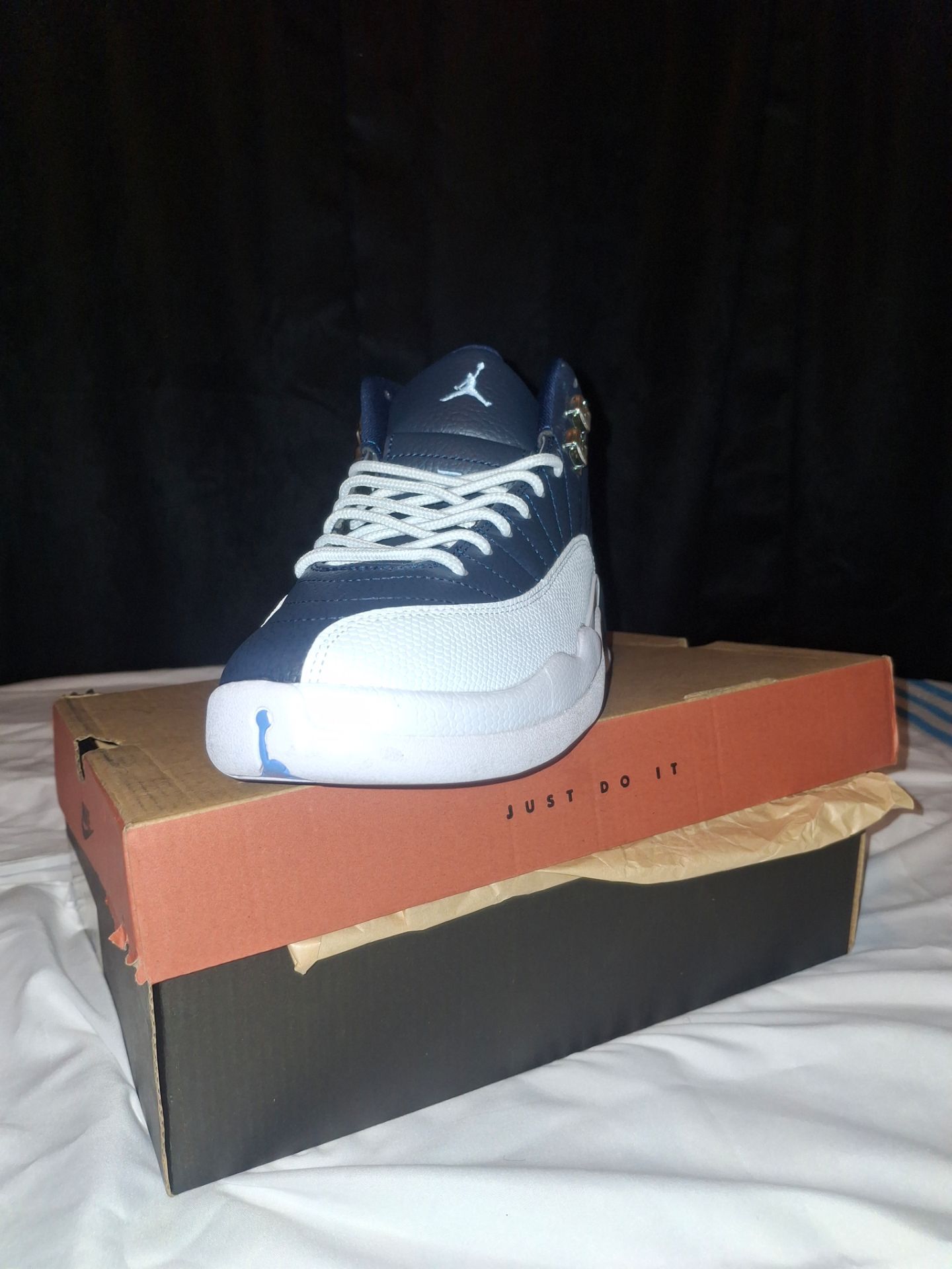 Air Jordan 12