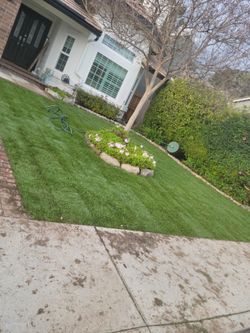 Sod/pasto