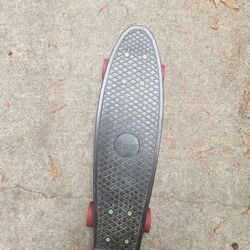 Penny Board Skateboard