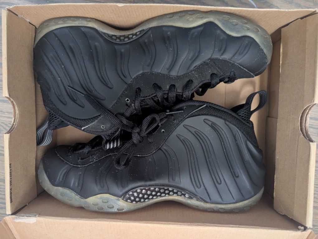 Nike Foamposite One Stealth Size 10 (2012)