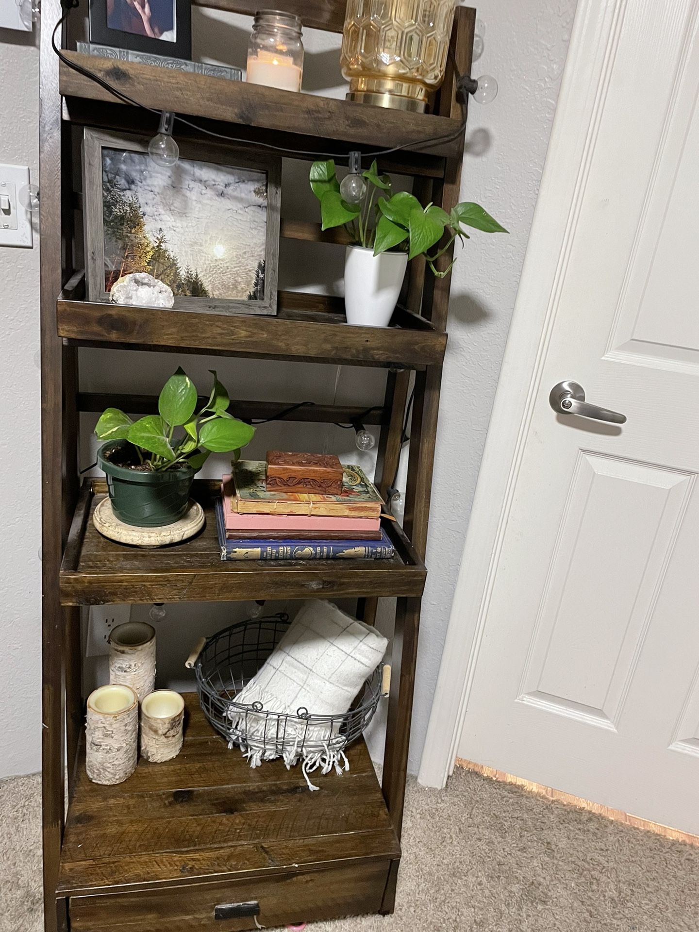 Rustic Ladder Shelf