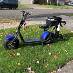 Phat Golf Scooter 