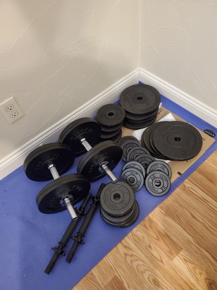 Weights And Dumbbells (270lbs Total)