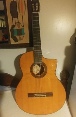 Washburn Guitar and Case