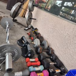 Gym Equipment 