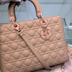 NUDE DIOR HANDBAG