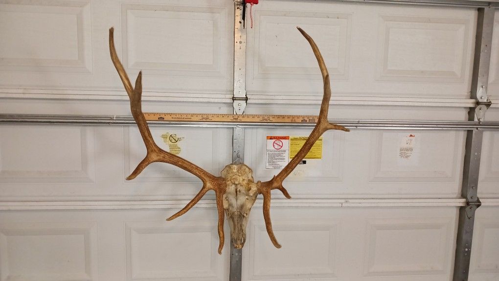 Huge Rack