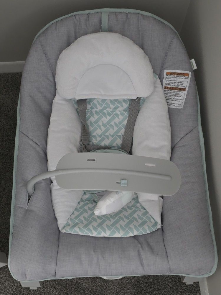 Baby Bouncer 