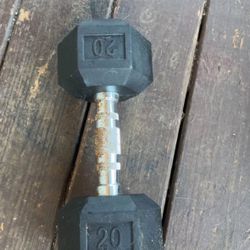 20 Pound Weight