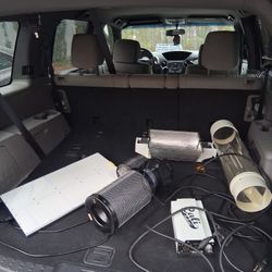 Gardening,  Gardening Indoors