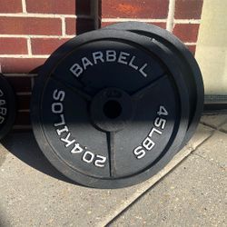 Weight, 45lbs Olympic Plates