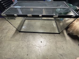 Reptile Tank