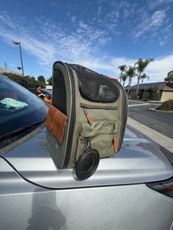 Pet Carrier Backpack with Mesh Ventilation