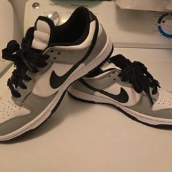 Nike Dunk Low Customized 