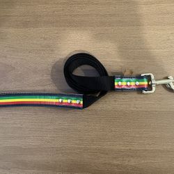 4’ Dog Leash 