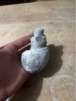 Fossilized conch shell