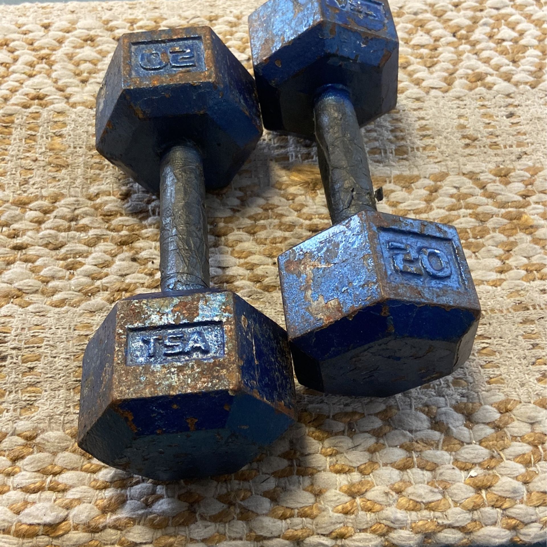 20 pound dumbbells pair blue