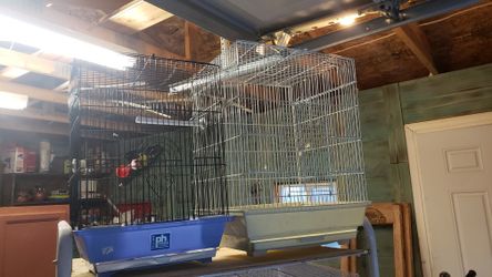 Cages For Canaries And Small Birds