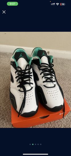 Never Used Nike Jordan 9.5