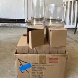 Glass Flowers Vases 