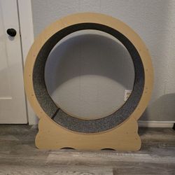 Assembled Cat Wheel