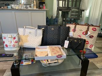 Coach Handbag and Accessory Bundle