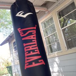 Everlast 100lb Punching Bag