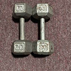 Hex 20lbs Dumbbells 