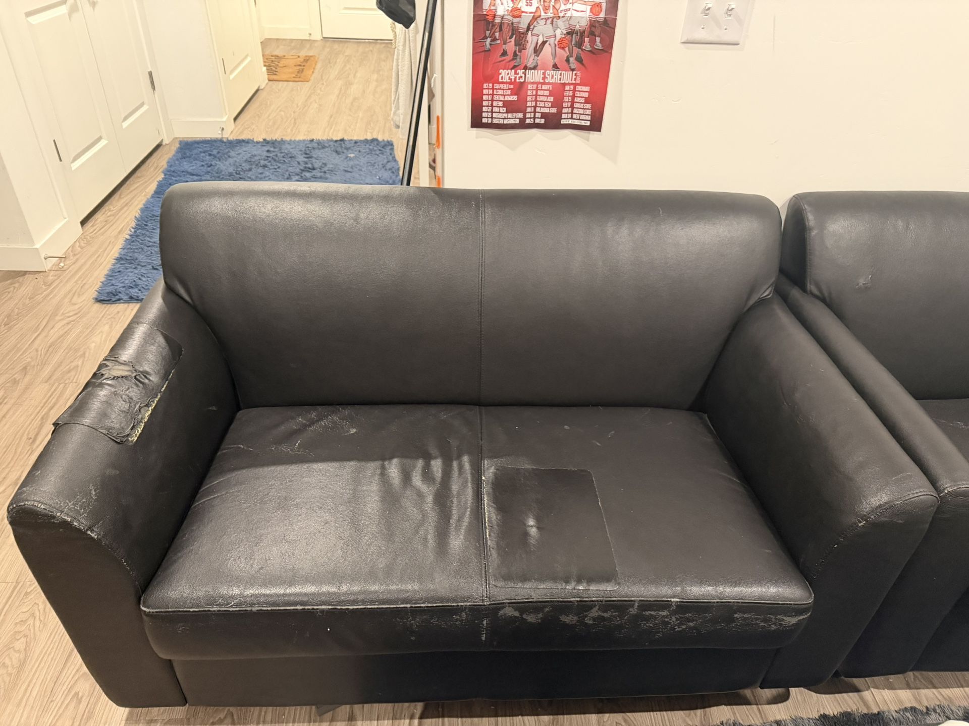 2 Black Couches 
