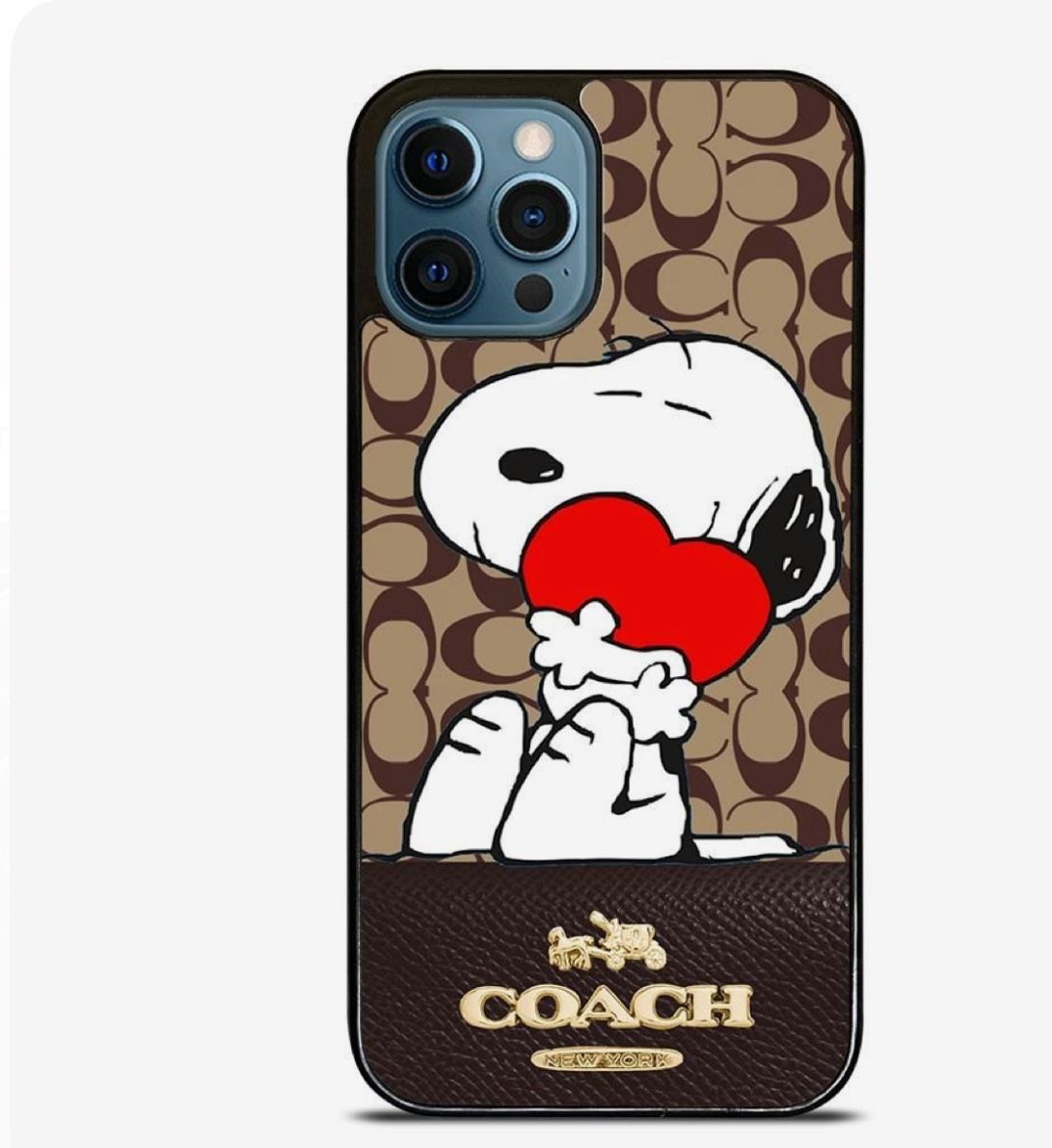 Case Phone