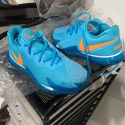 Nike Shoes 
