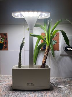 Items plant care