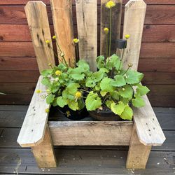 Reclaimed Wood Flower Pot Chair 