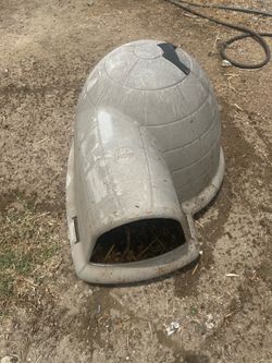 Used igloo dog house