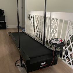 Dog Treadmill DogPacer LF 3.1 Treadmill Full Size