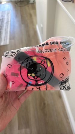 Dog recovery collar xl