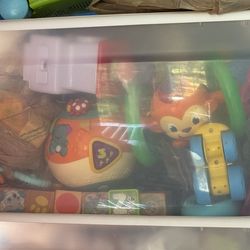 Tote of all baby stuff, toys, etc.